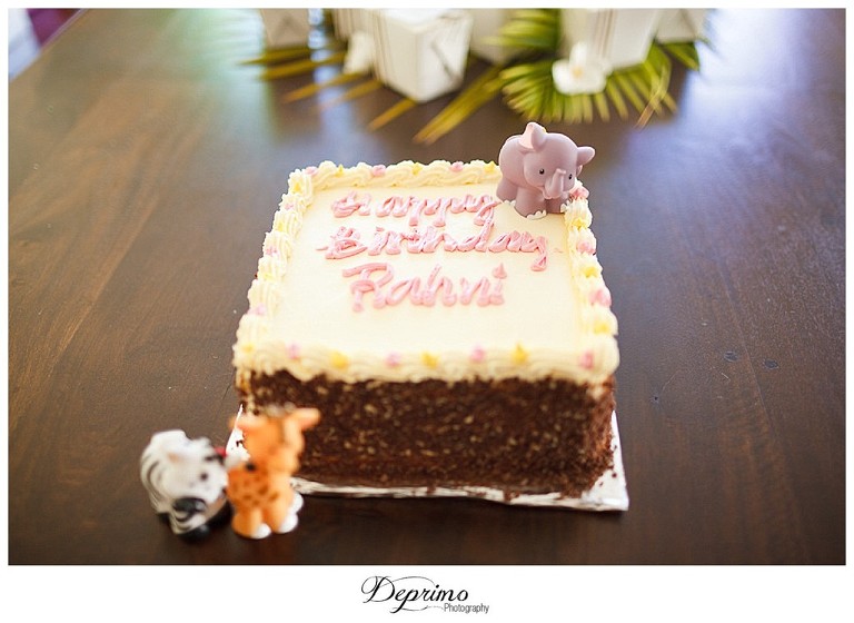 First Birthday Photos